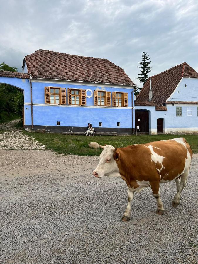 מלון Viscri 32 - White Barn And Blue House מראה חיצוני תמונה